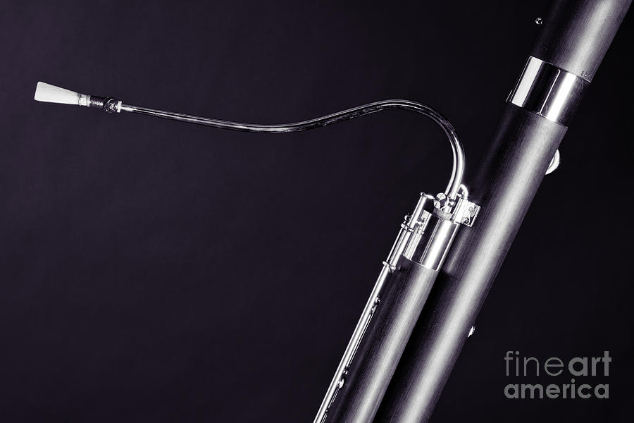 Bassoon Music Instrument Fine Art Prints Canvas Prints Greeting Cards in Black and white 3407.01 Photograph by M K Miller
