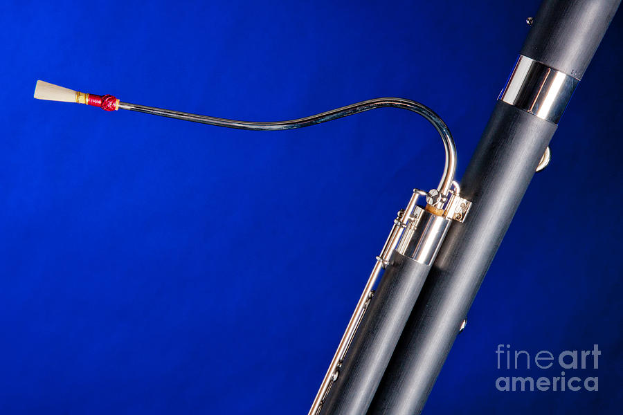 Bassoon Music Instrument Fine Art Prints Canvas Prints Greeting Cards in color 3407.02 Photograph by M K Miller