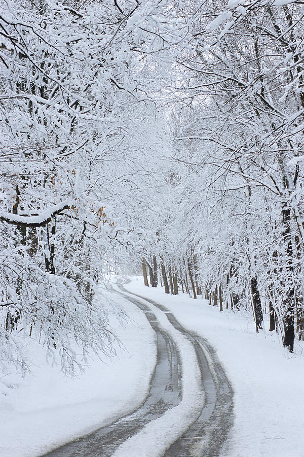 Basswood Drive Photograph by Bruce Thompson Fine Art America