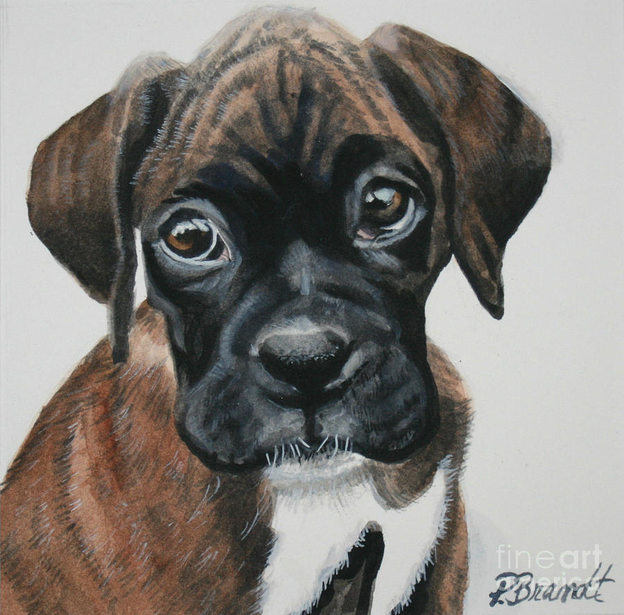 Dog Painting - Bastogne by Patricia Brandt