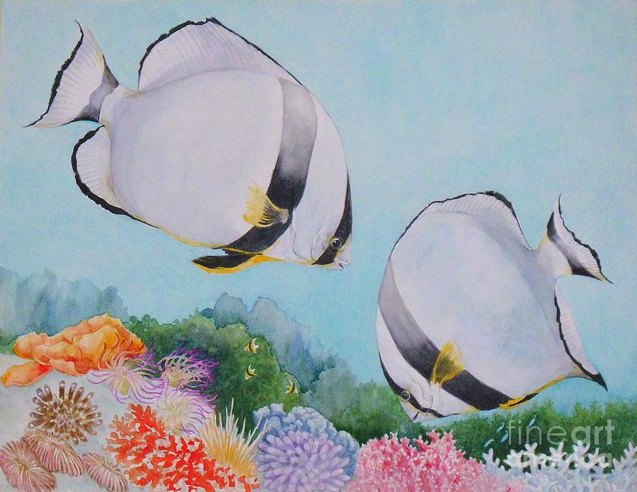 Bat Fish Painting - Bat fish by Janet Summers-Tembeli Bat Fish Painting - Bat fish by Janet Summers-Tembeli