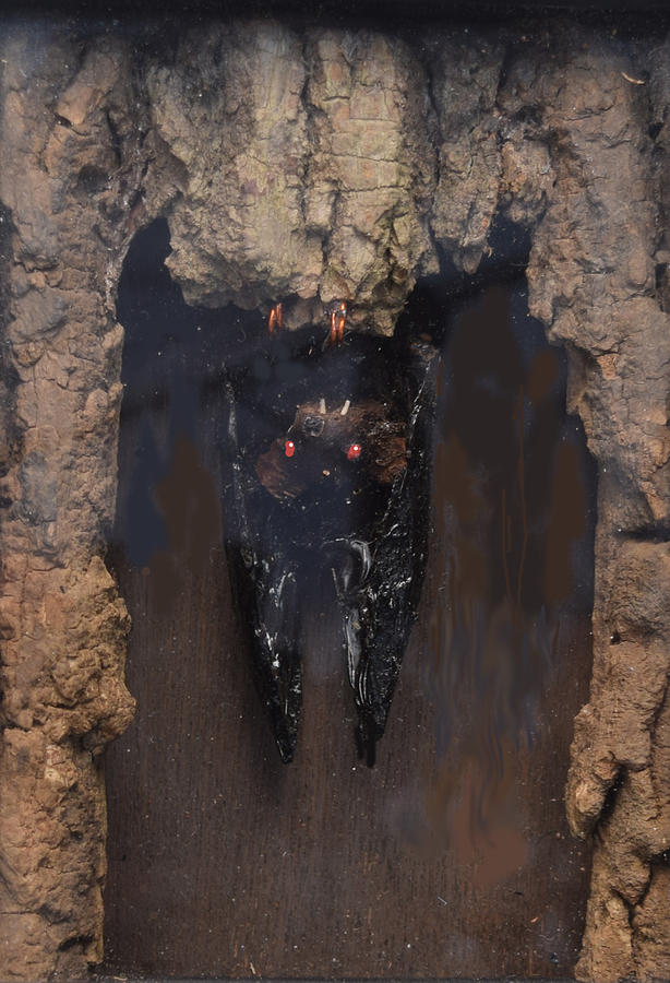 Bat in a Cave Sculpture by R  Allen Swezey