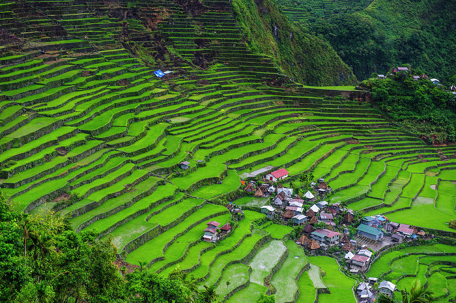 Batad Rice Terraces, World Heritage Photograph by Michael Runkel | Pixels