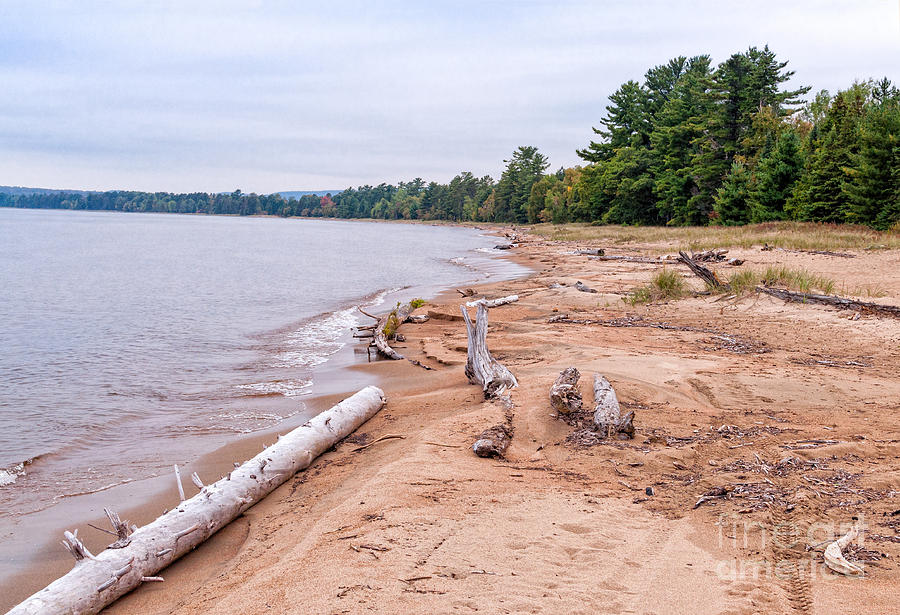 Tree Photograph - Batchawana Bay beach at Lake Superior  by Les Palenik