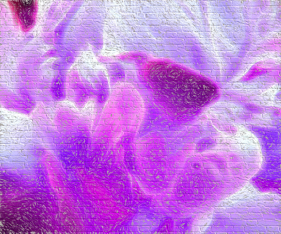 Bathed in purple Digital Art by Cathy Anderson