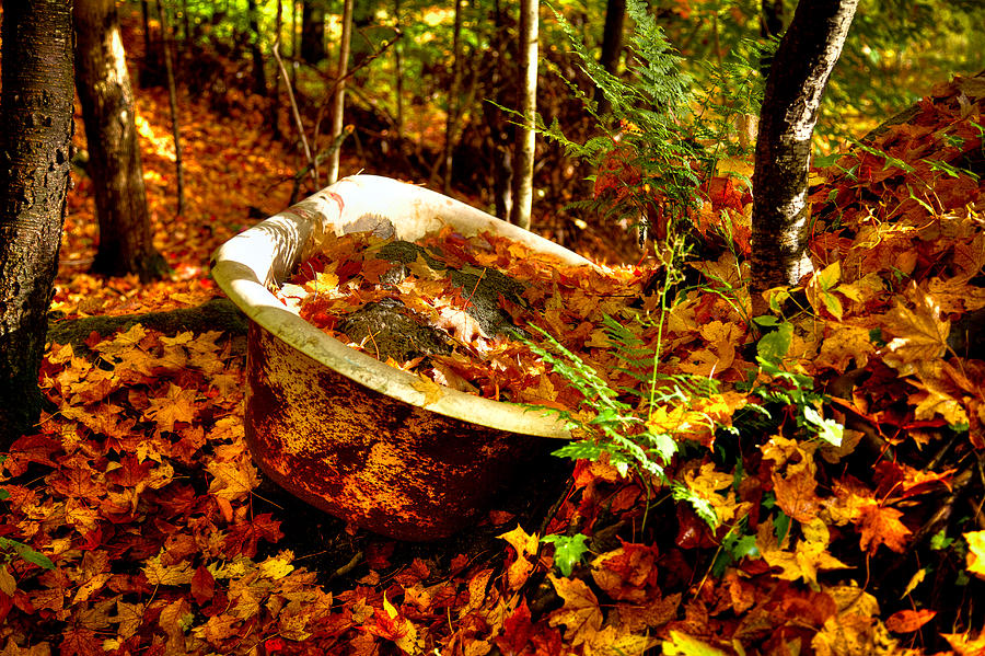 Bathing In Autumn Color Photograph