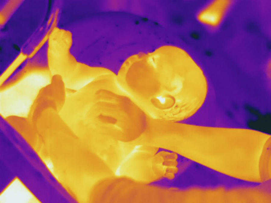 Bathing Infant, Thermogram Photograph by Science Stock Photography