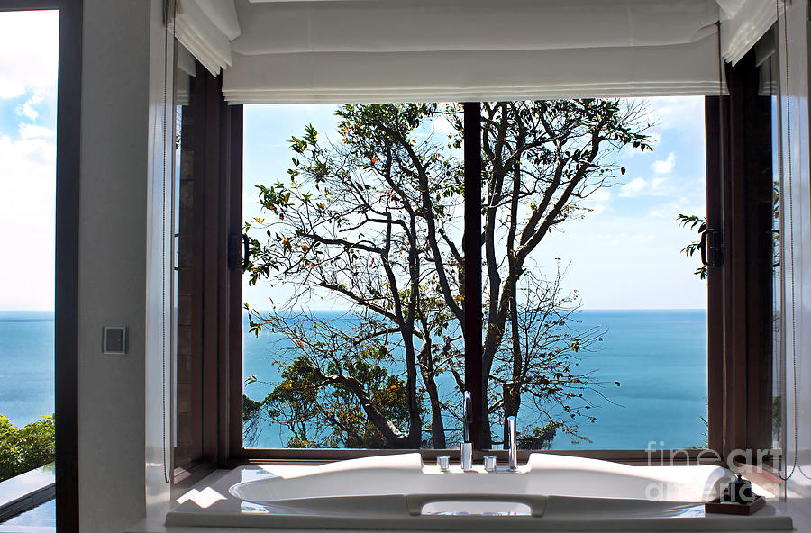 Bathroom With A View Photograph