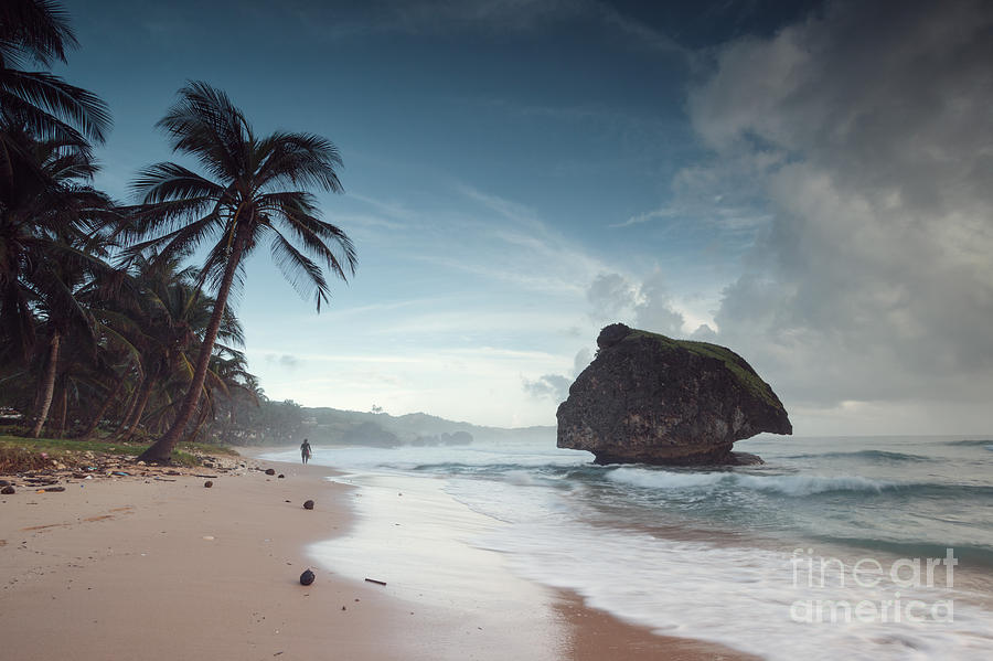 Bathsheba beach in the Barbados Photograph by Matteo Colombo