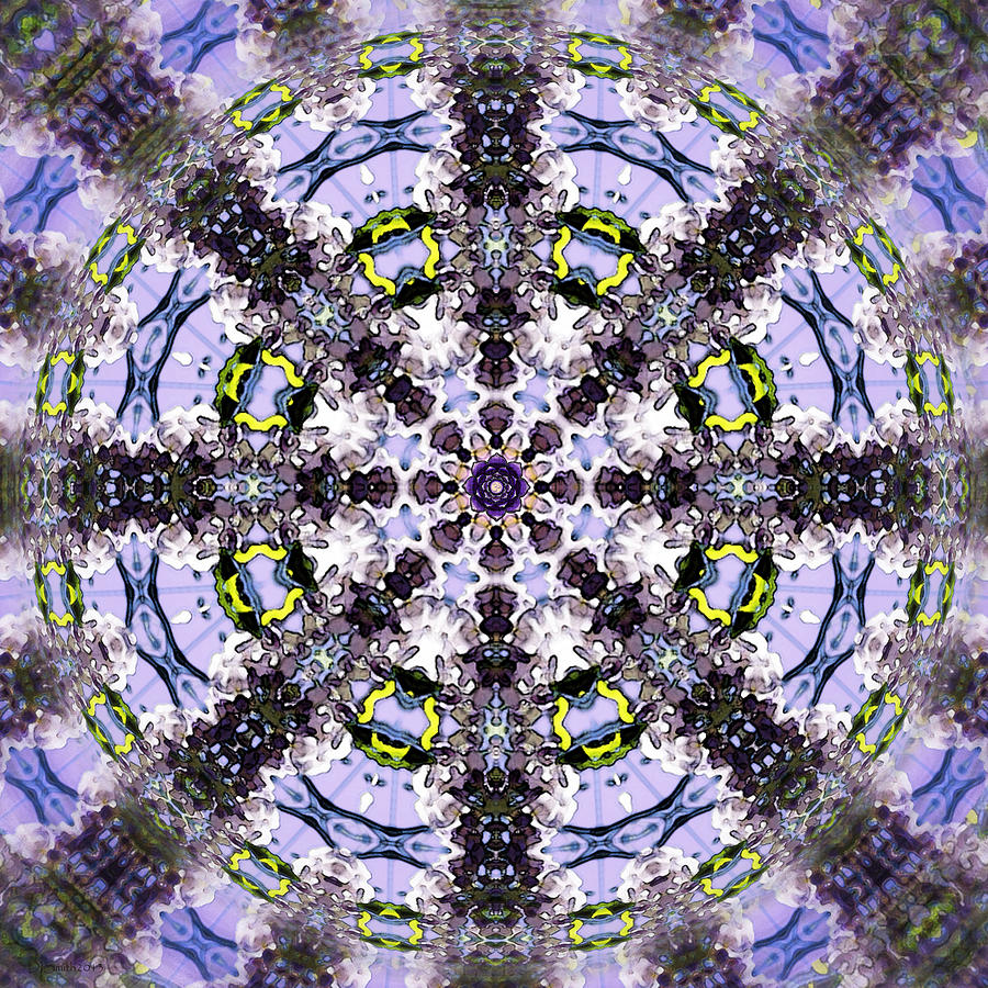 Batik WIsteria Mandala Digital Art by Deborah Smith