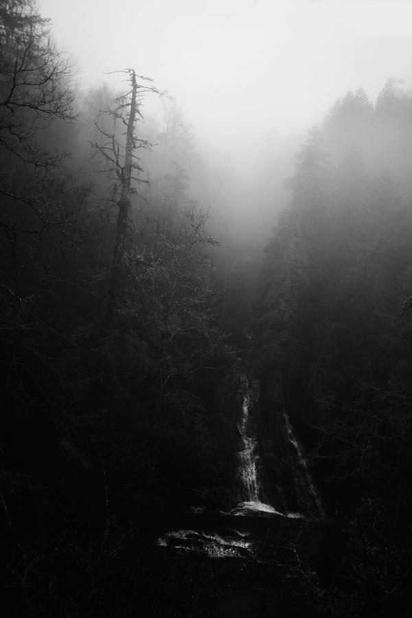 Batson Creek Falls Fog Photograph by Ben Shields