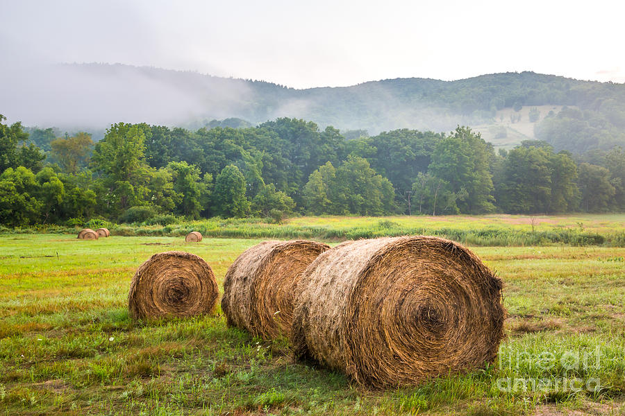 Battenkill Farm Hay Bales Photograph by Susan Cole Kelly