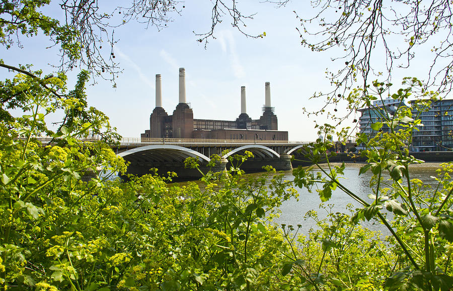 Battersea Power Station Photograph by David French