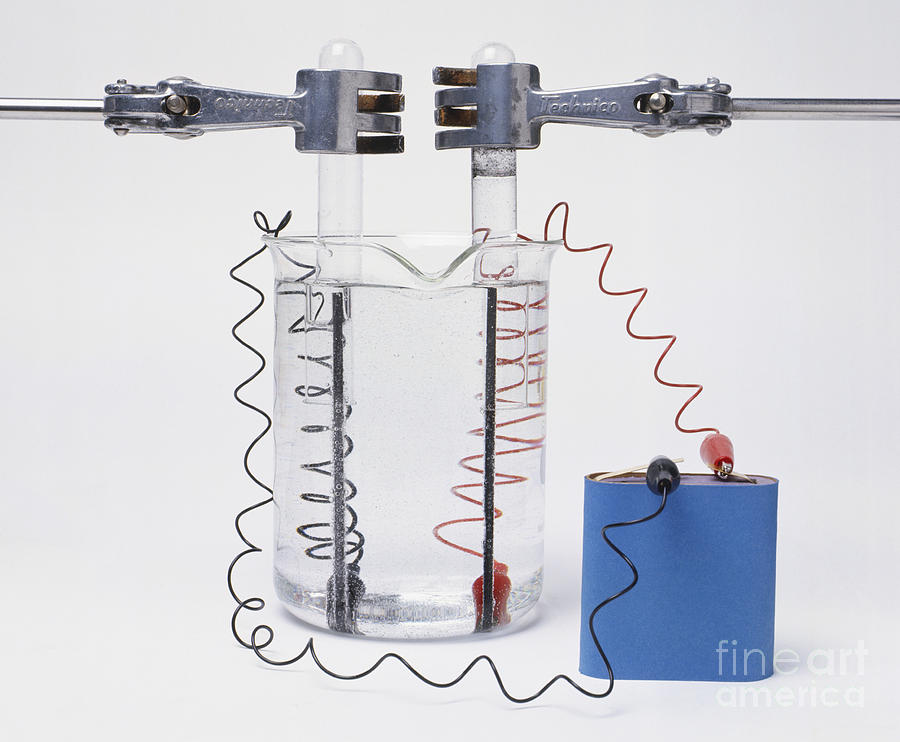 Battery Photograph - Battery Connected To Two Electrodes by Andy Crawford and Tim Ridley / Dorling Kindersley