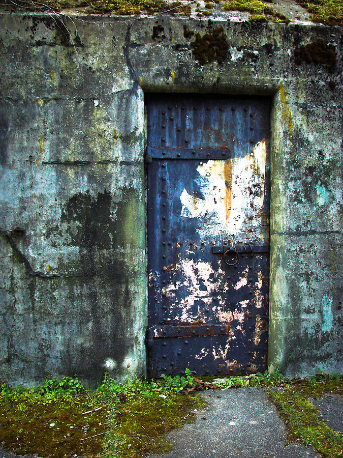 Battery Doors V Photograph by Ronda Broatch