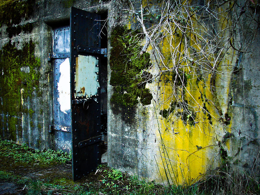 Battery Doors VII Photograph by Ronda Broatch