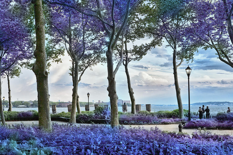 Architecture Photograph - Battery Park in the Spring by Evie Carrier