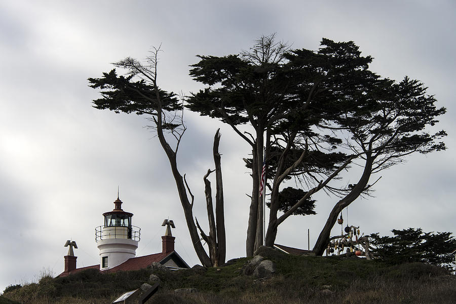Battery Point Lighthouse, Ca Photograph by Mark Newman