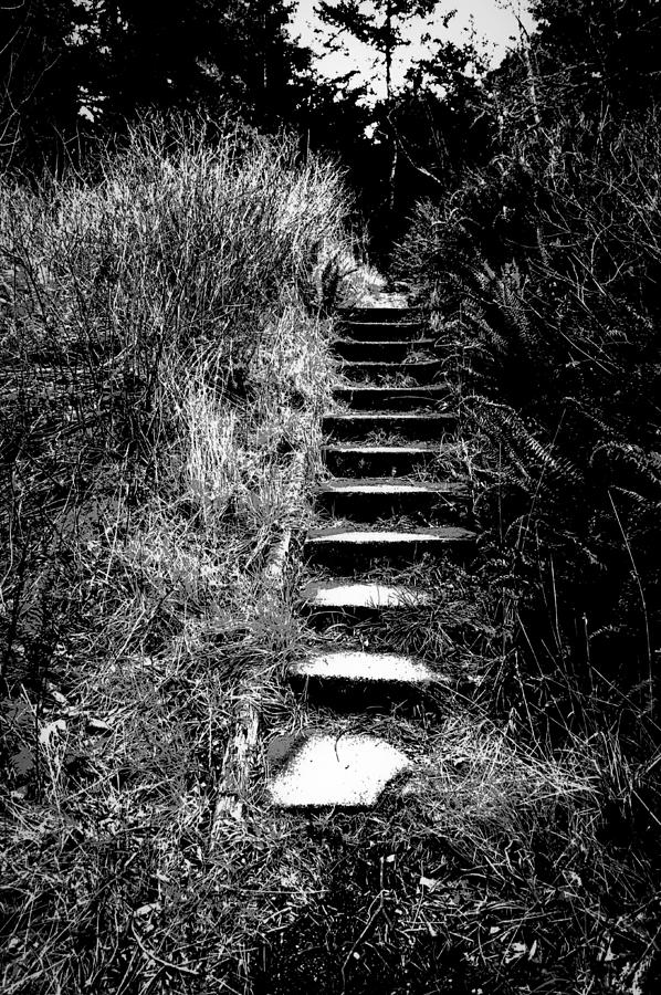 Battery Stairs II Photograph by Ronda Broatch