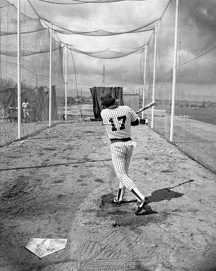 Batting Cage Photograph by Jim Painter