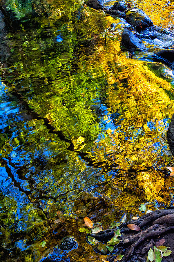 Battle Creek Photograph - Battle Creek Fall by Kathleen Bishop