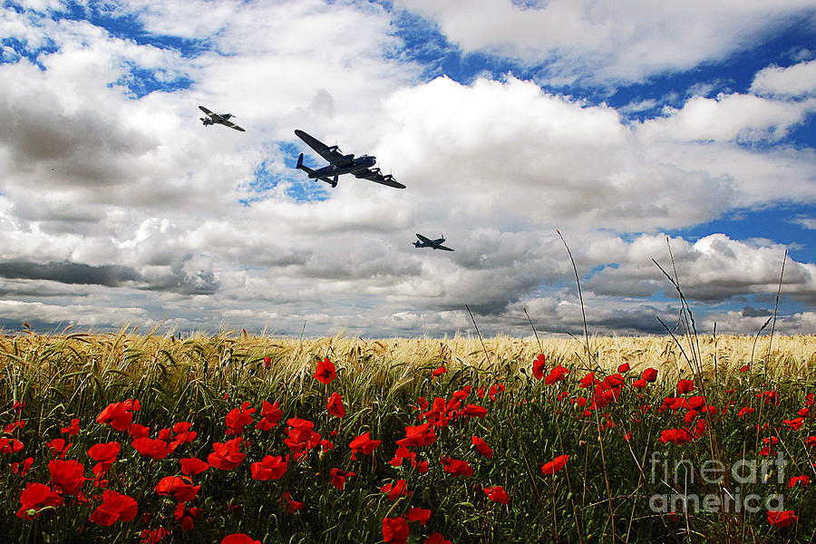 Poppy Digital Art - Battle Of Britain Memorial Tribute  by Airpower Art
