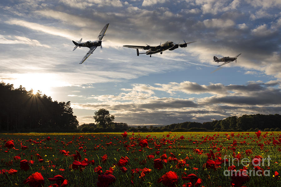 Battle of Britain Poppy Pride Digital Art by Airpower Art
