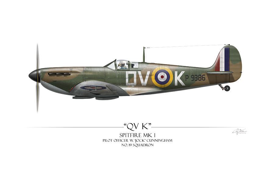 Airplane Painting - Battle of Britain QVK Spitfire - White Background by Craig Tinder