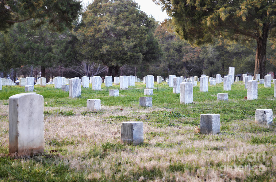 Summer Photograph - Battle of Stones River Union Army Graveyard III by Donna Greene