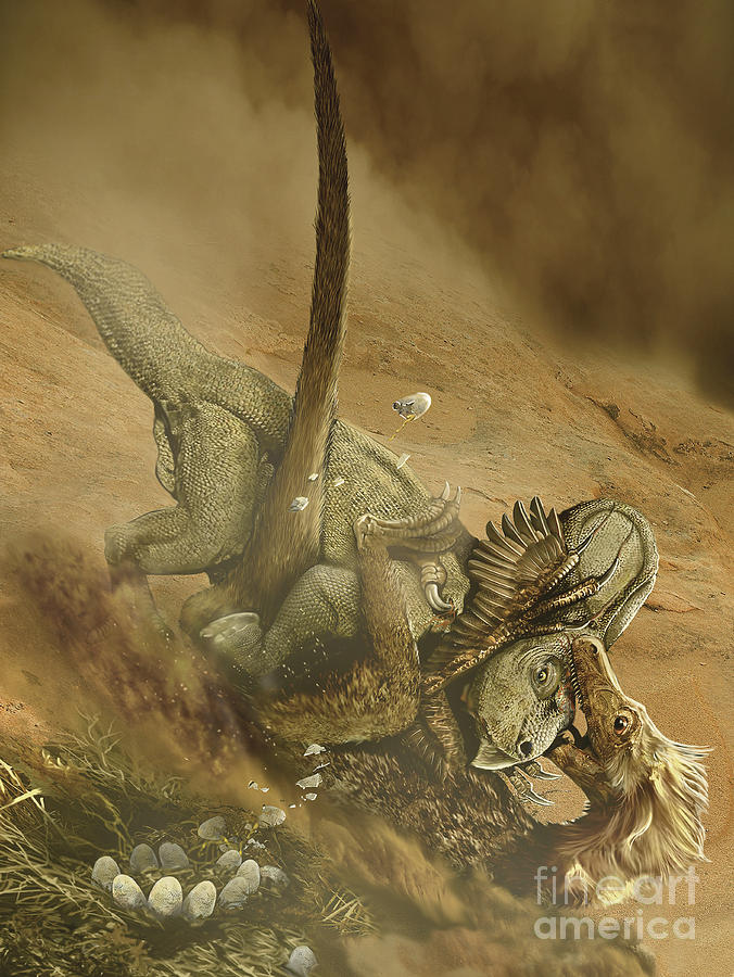 velociraptor fighting