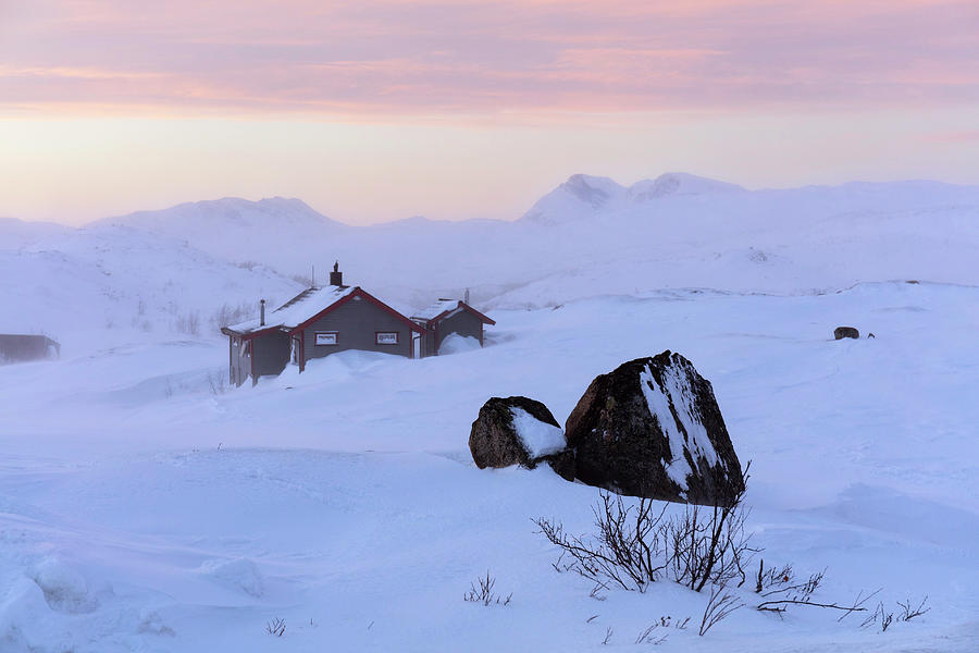 Battles Of Narvik Memorial Site Photograph by Michael Szoenyi/science ...