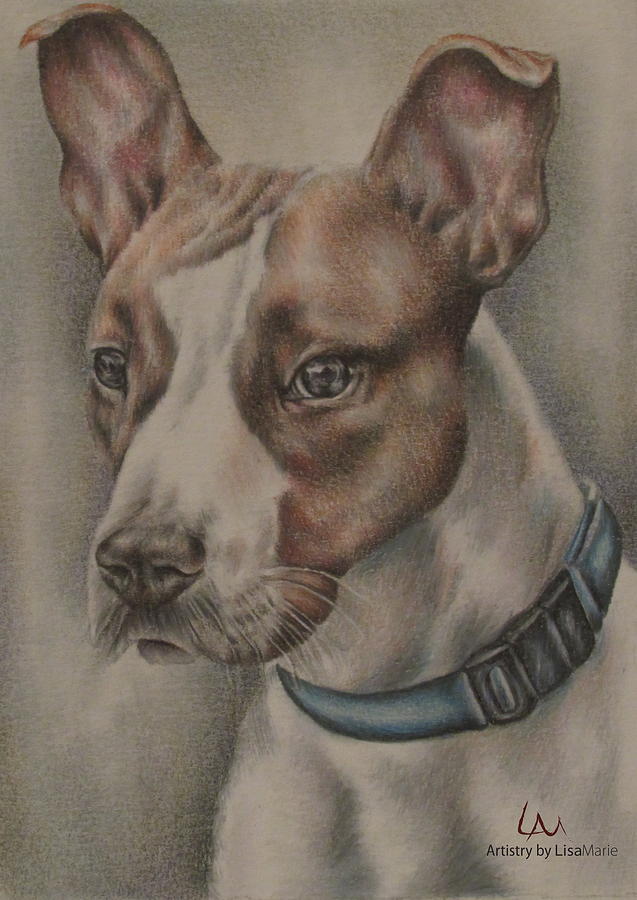 Dog Drawing - Baxter by Lisa Marie Szkolnik