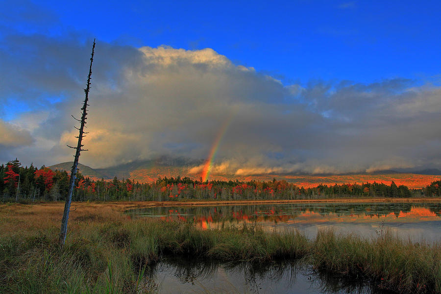 Baxter State Park Rainbow Photograph by Jack Nevitt