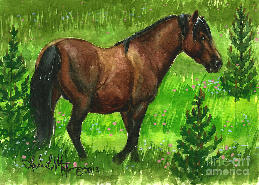 Stallion Painting - Bay Alberta Stallion by Linda L Martin