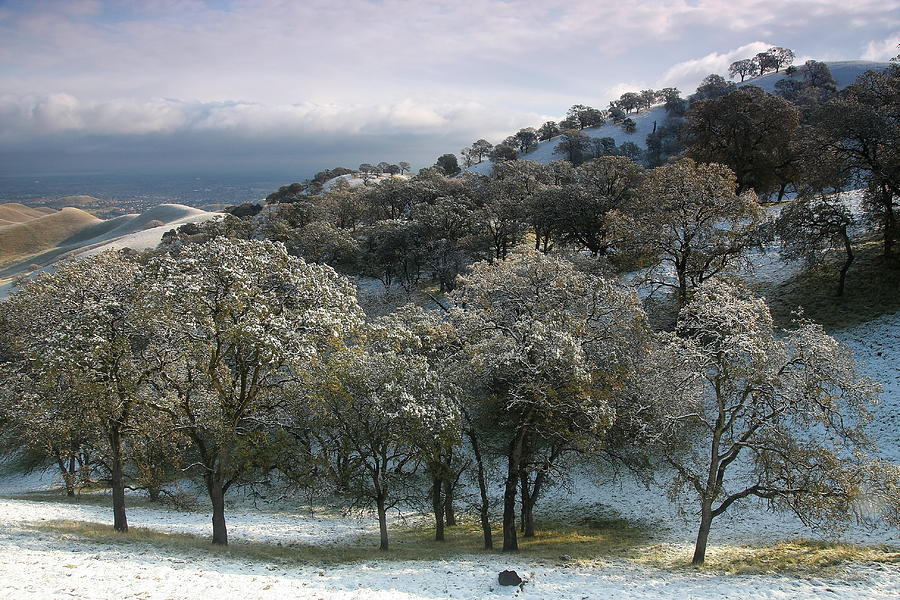 Bay Area Snow Photograph by Marc Crumpler