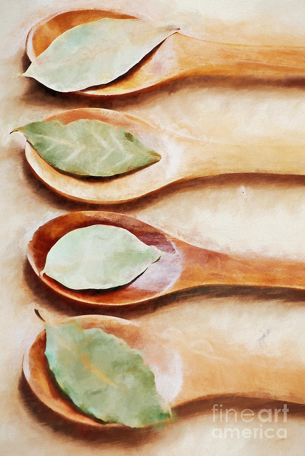 Spoon Still Life Painting - Bay Leaves by HD Connelly