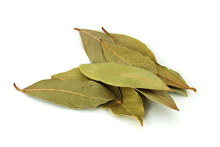 Bay leaves Photograph by Lightshows