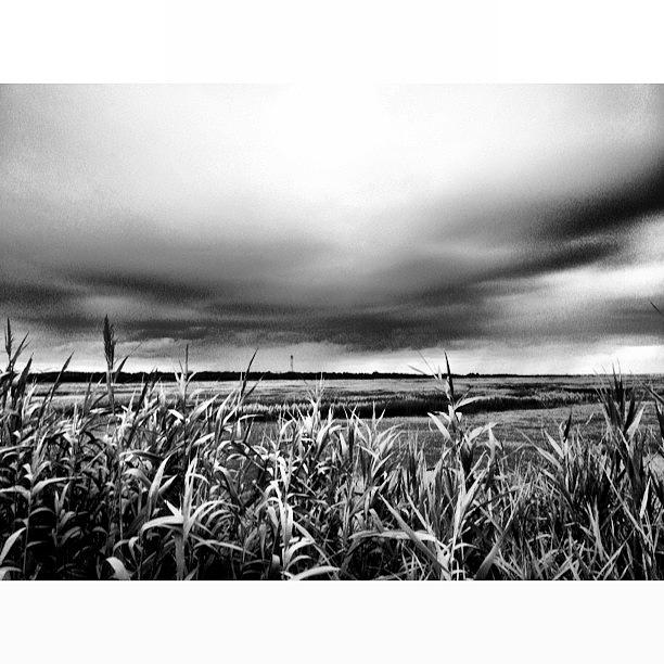 Marshland Photograph - #bay #marsh #clouds #cloudporn #sky by A Loving