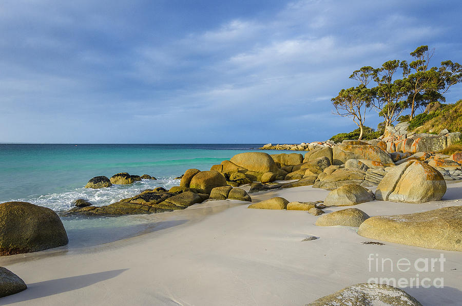 Bay of Fires 1 Photograph by Paul Woodford