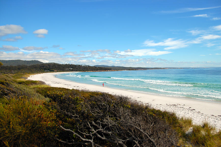 Bay Of Fires Beach Painting by Glen Johnson