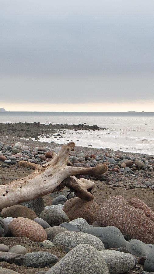 Bay of Fundy Photograph by Jennifer Wheatley Wolf