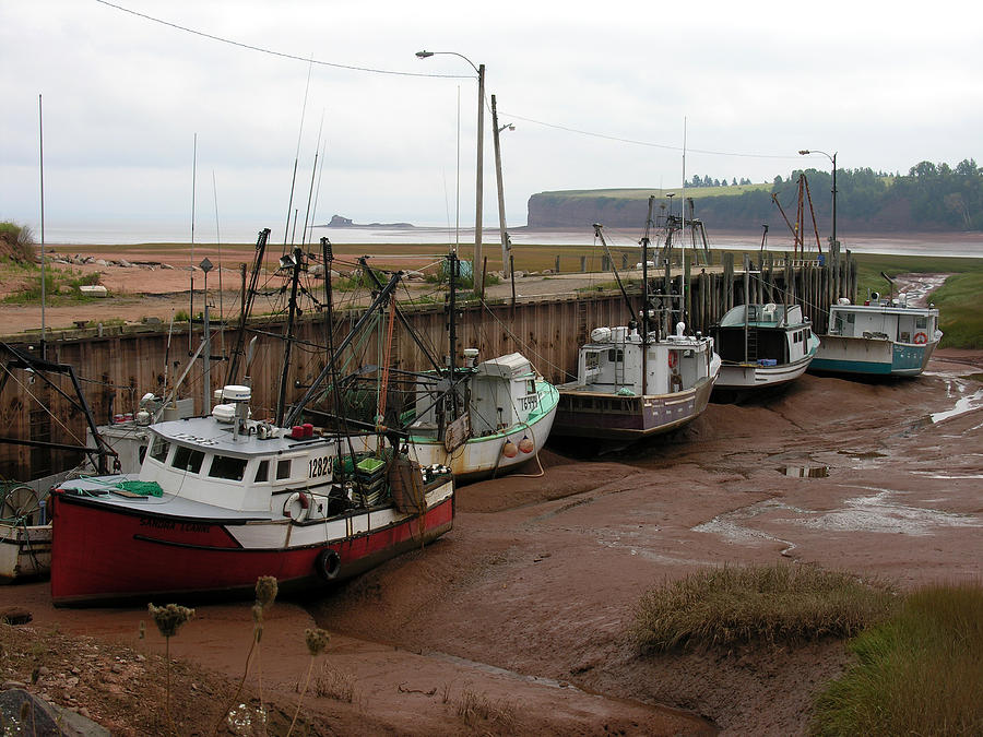 Bay Of Fundy Photograph by Robert Lozen