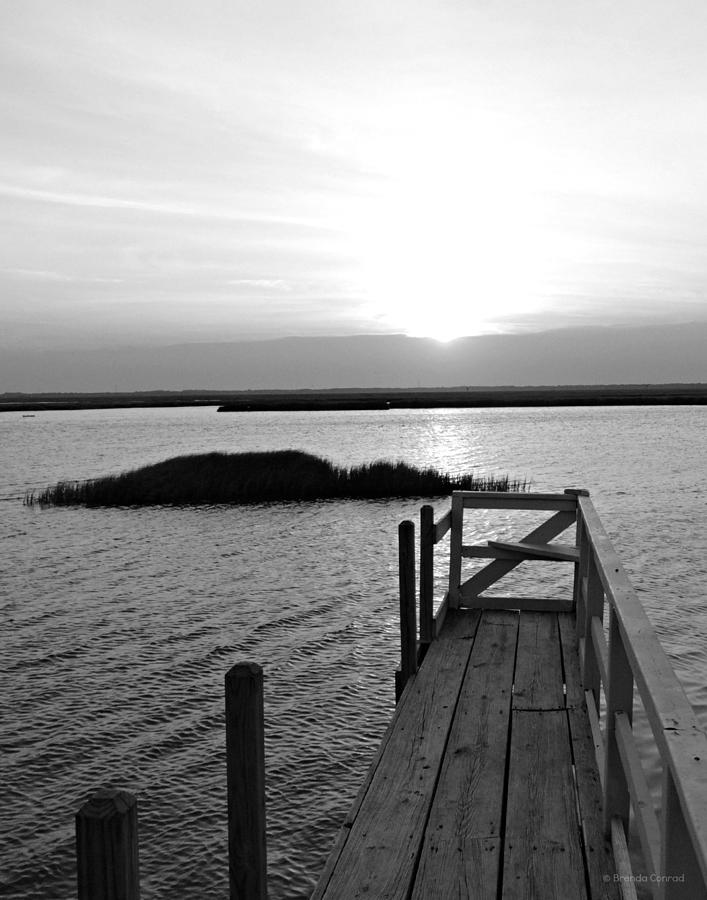 Black And White Photograph - Bay Sunset Black and White by Dark Whimsy
