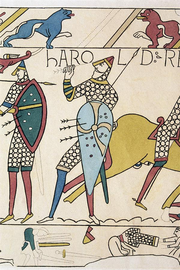 Bayeux Tapestry: King Harold Of England I Photograph by George Bernard/science Photo Library