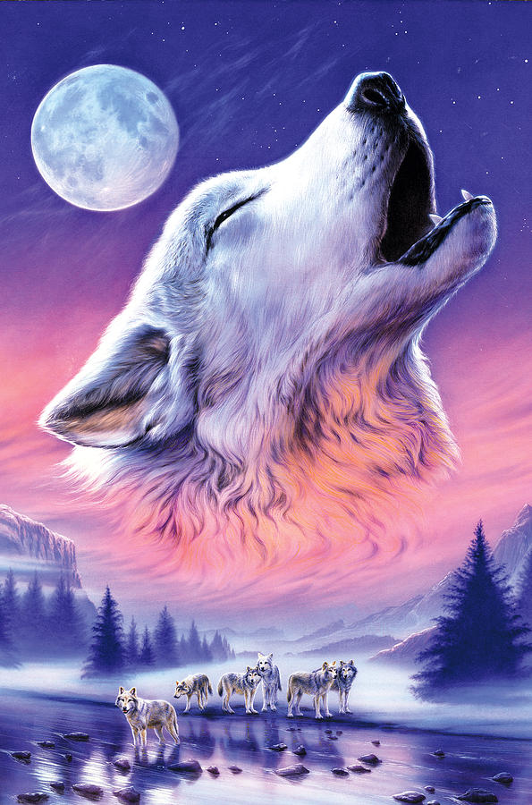 Wolves Photograph - Baying to the Moon by MGL Meiklejohn Graphics Licensing