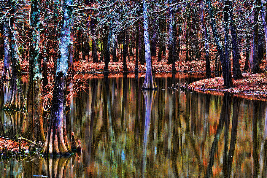 Bayou Bartholomew Photograph by Joe Bledsoe | Fine Art America