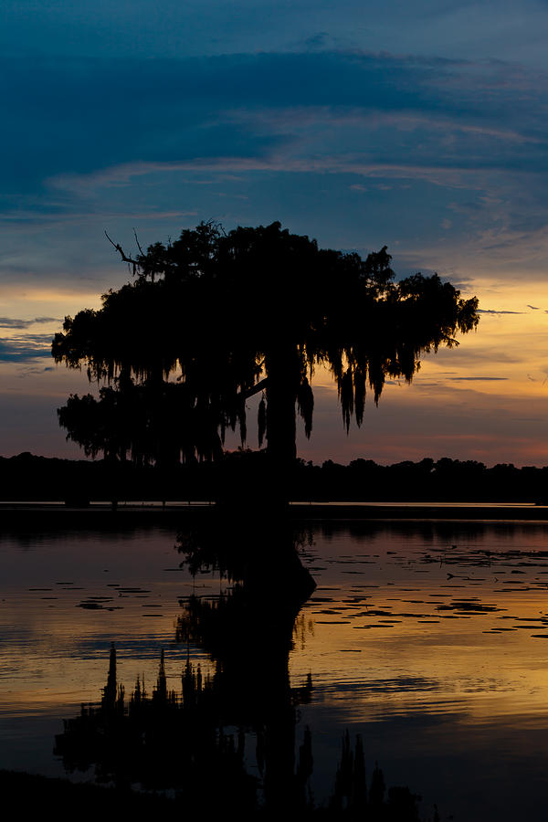 Sunset Photograph - Bayou Beauty by Susie Hoffpauir