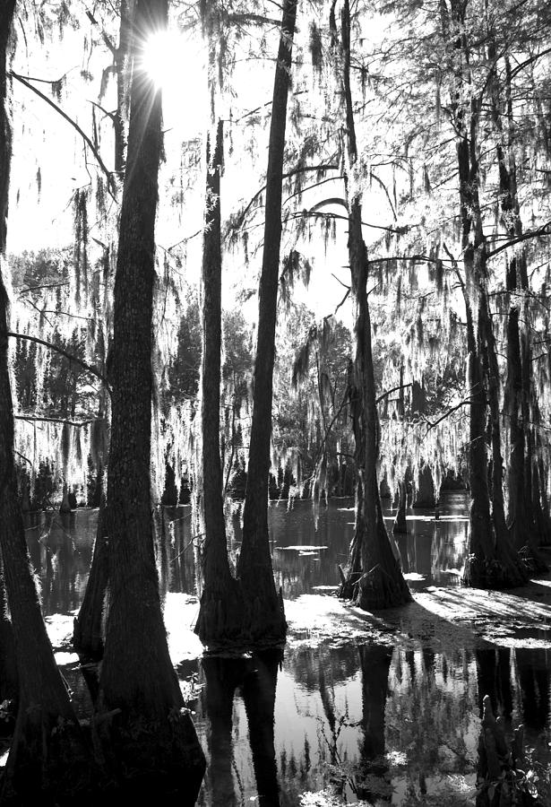 Bayou Photograph - Bayou by Jessica Wakefield Bayou Photograph - Bayou by Jessica Wakefield