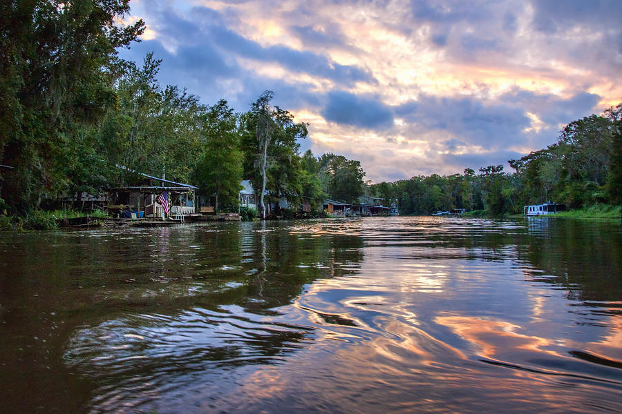 Bayou Living Photograph by Diana Powell - Pixels