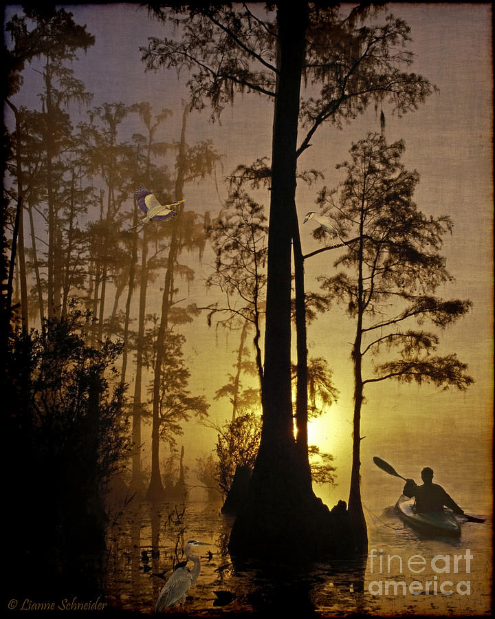 Heron Digital Art - Bayou Sunrise by Lianne Schneider